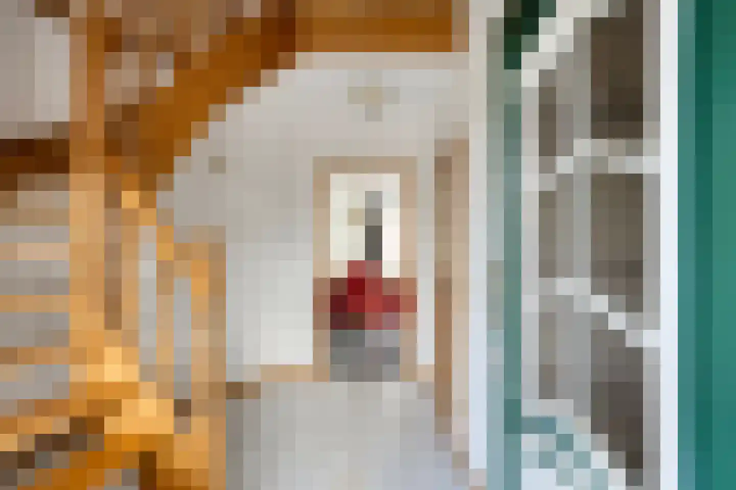 Pater Sangersstraat 16 Stevensweert thumbnail 7