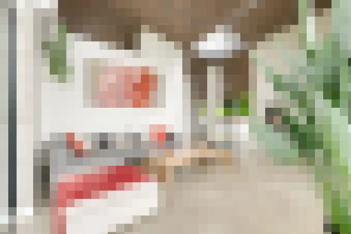 Pater Schiphorststraat 13 Alkmaar thumbnail 11