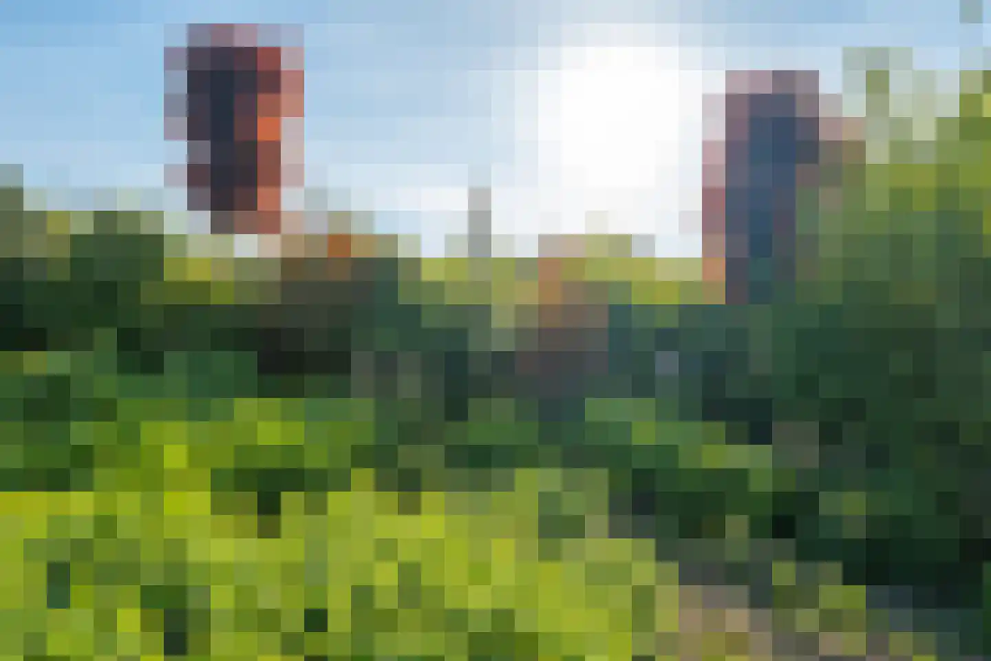 Pater Schiphorststraat 13 Alkmaar thumbnail 110