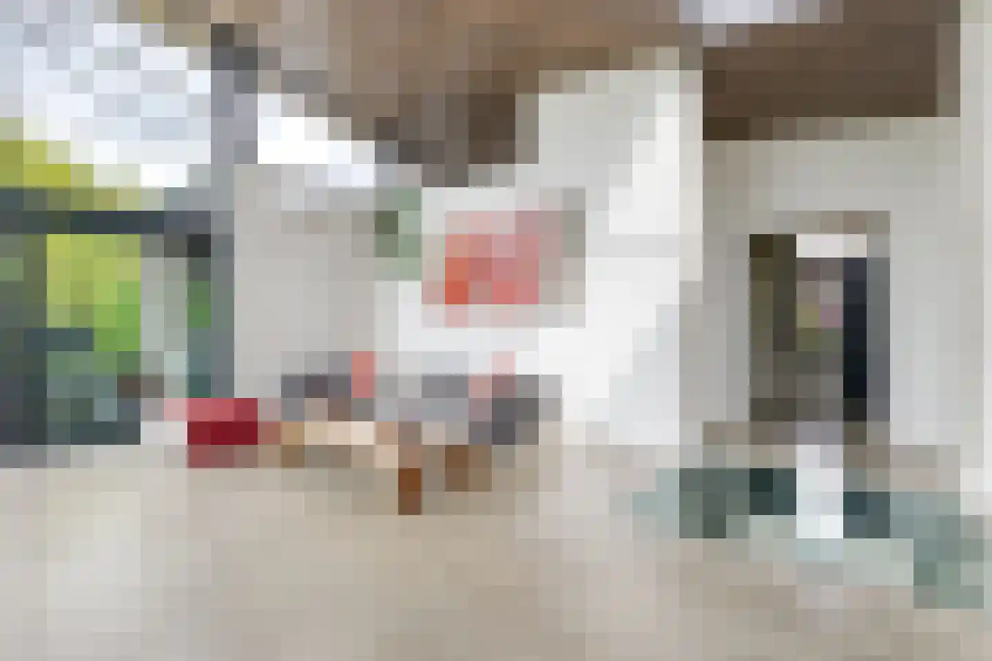 Pater Schiphorststraat 13 Alkmaar thumbnail 14