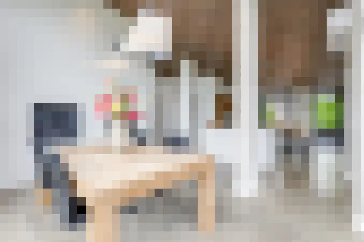 Pater Schiphorststraat 13 Alkmaar thumbnail 20