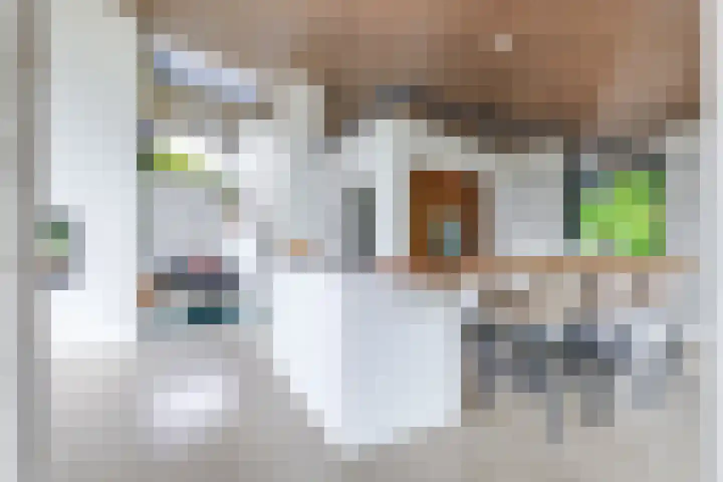 Pater Schiphorststraat 13 Alkmaar thumbnail 26