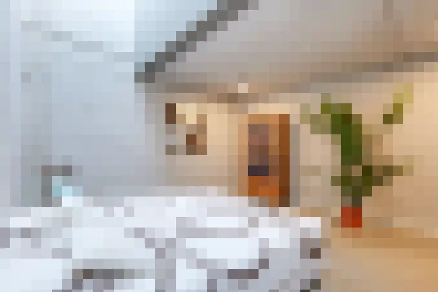 Pater Schiphorststraat 13 Alkmaar thumbnail 30