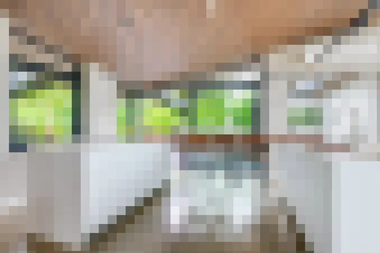 Pater Schiphorststraat 13 Alkmaar thumbnail 4