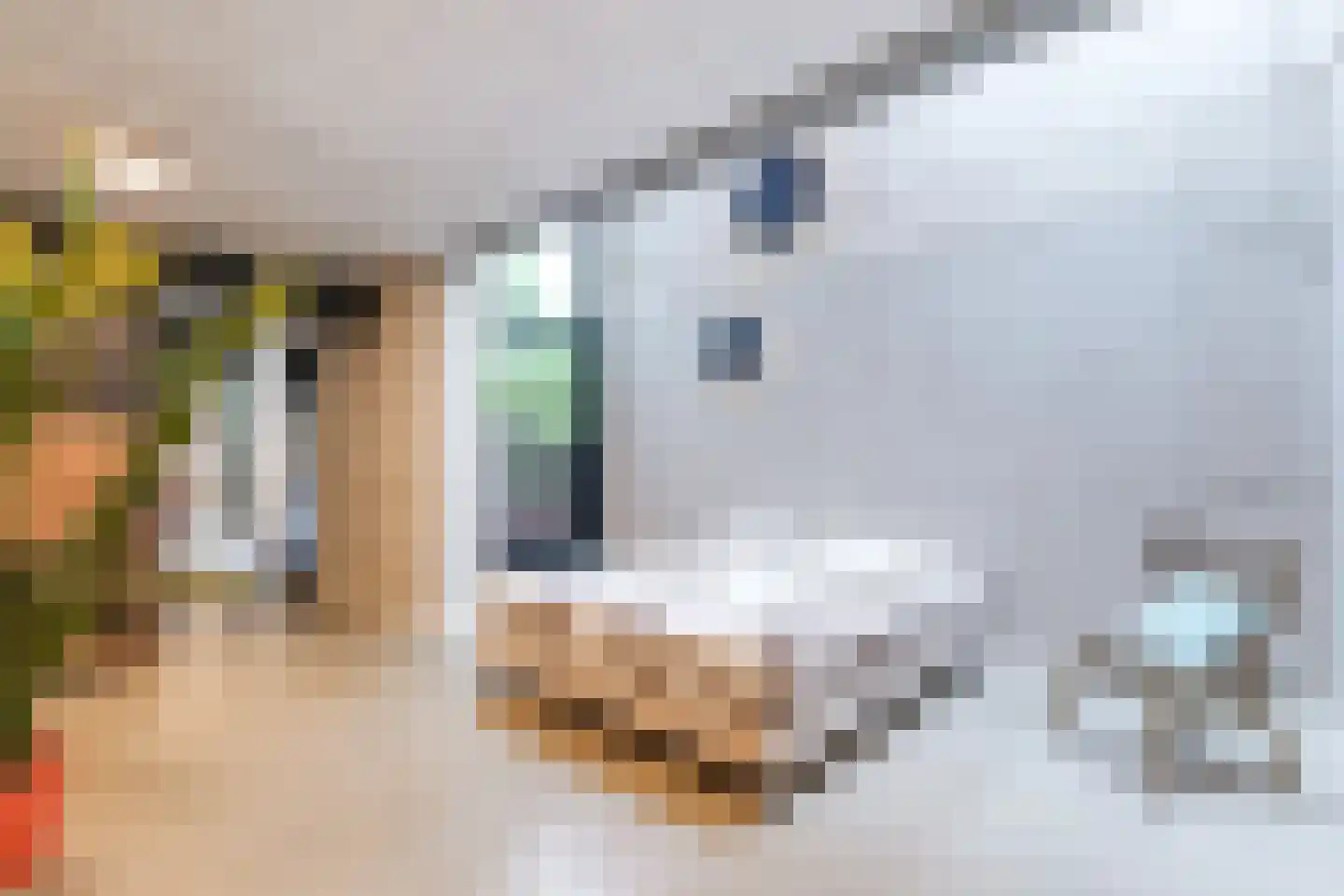 Pater Schiphorststraat 13 Alkmaar thumbnail 5