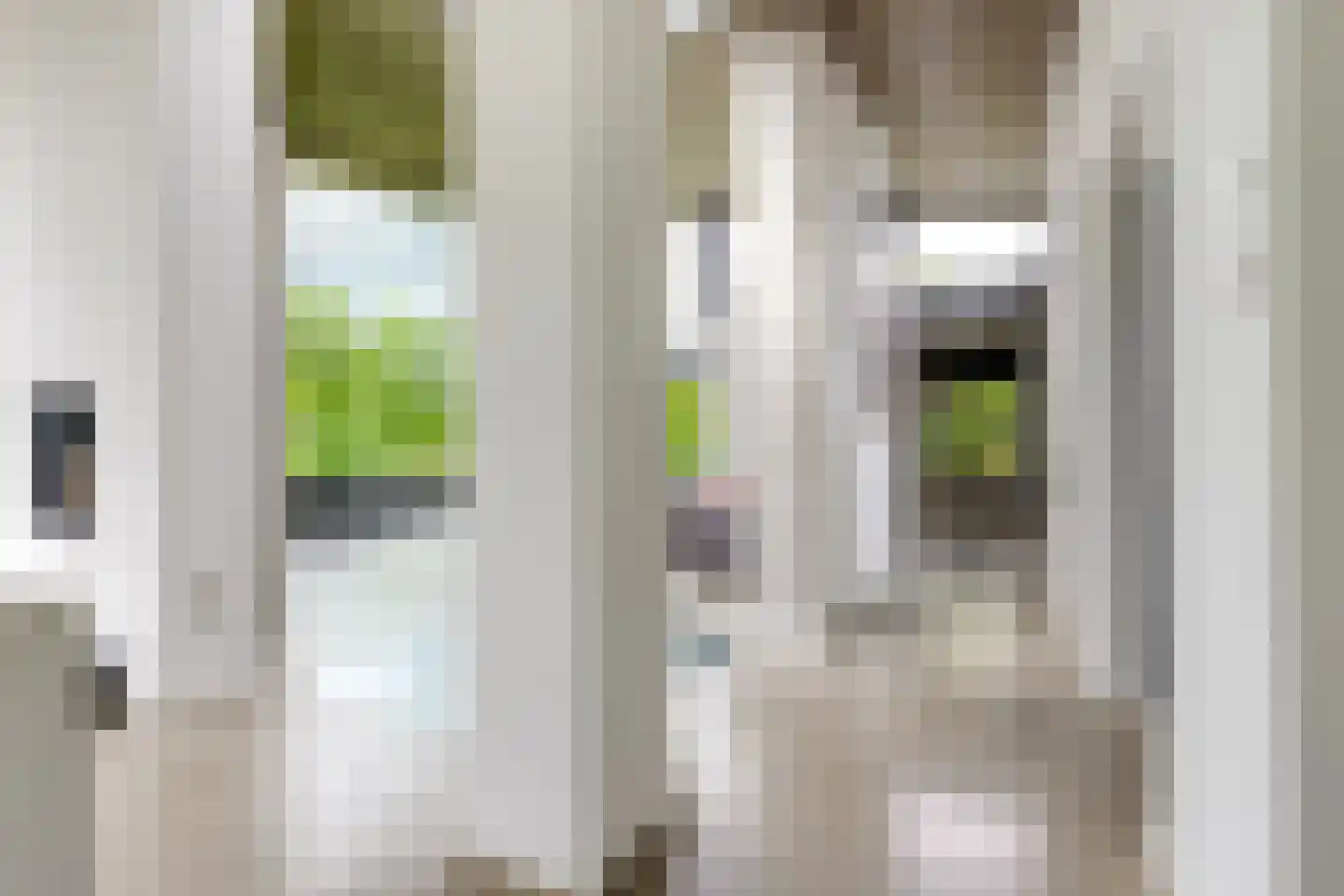 Pater Schiphorststraat 13 Alkmaar thumbnail 65