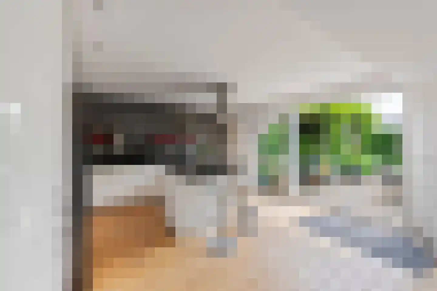 Pater Schiphorststraat 21 Alkmaar thumbnail 20