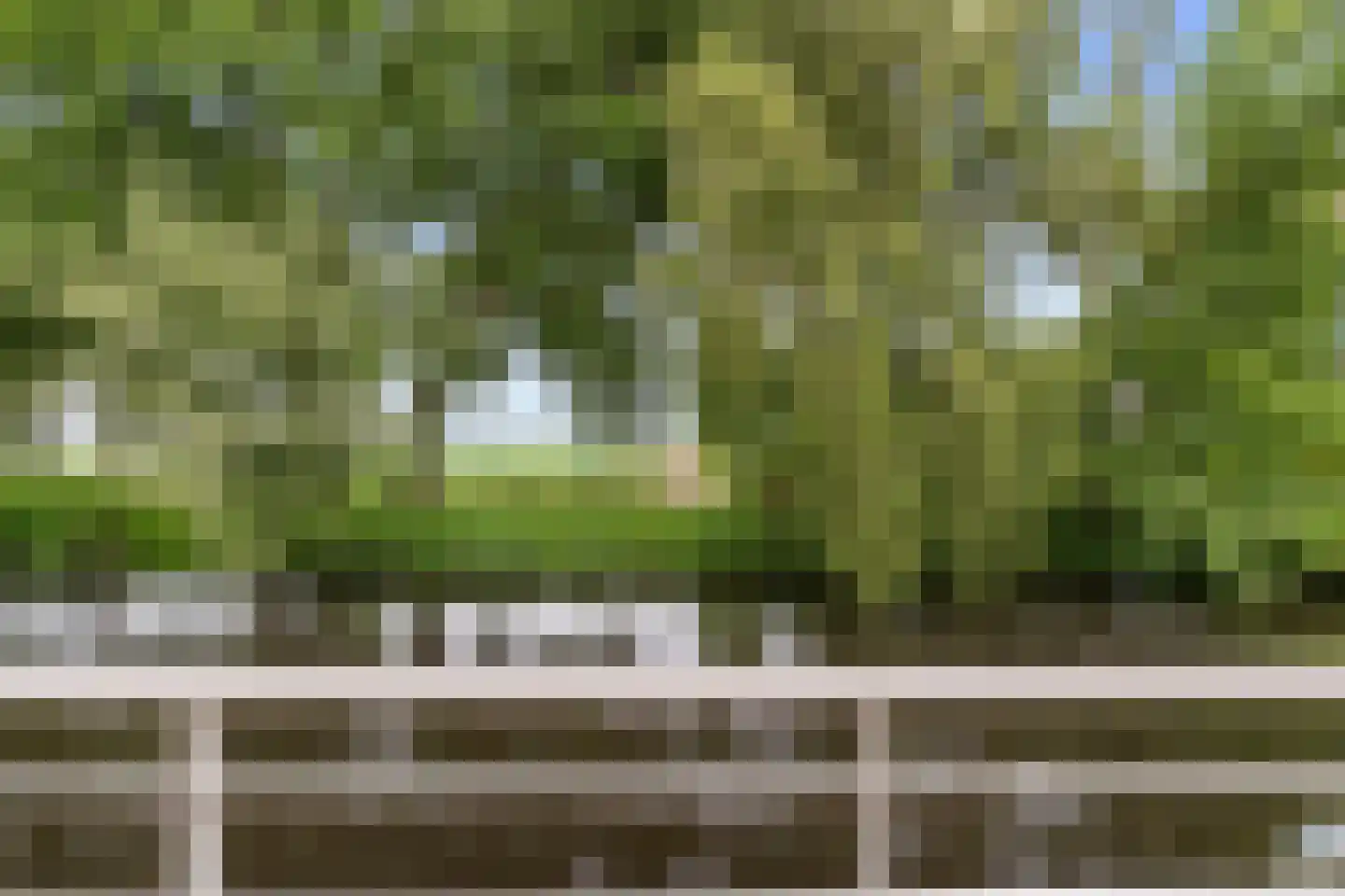 Pater Schiphorststraat 21 Alkmaar thumbnail 4