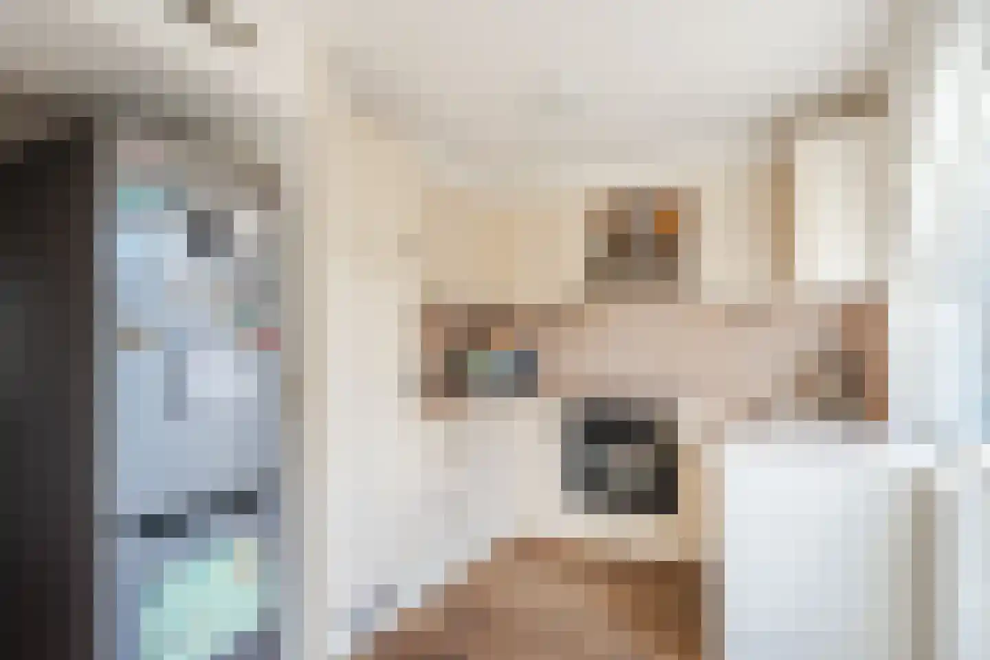 Pater Schiphorststraat 35 Alkmaar thumbnail 4