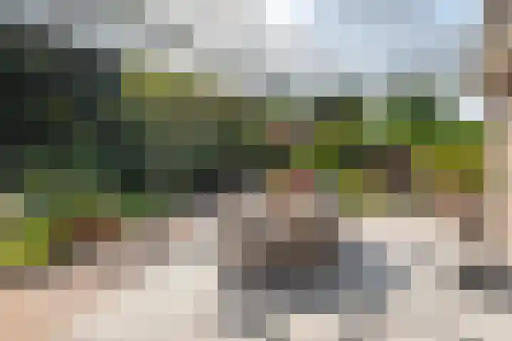 Pater Schreursstraat 15 Sittard thumbnail 4