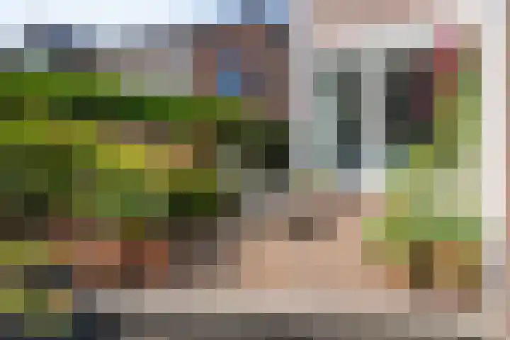 Pater Schreursstraat 15 Sittard thumbnail 5