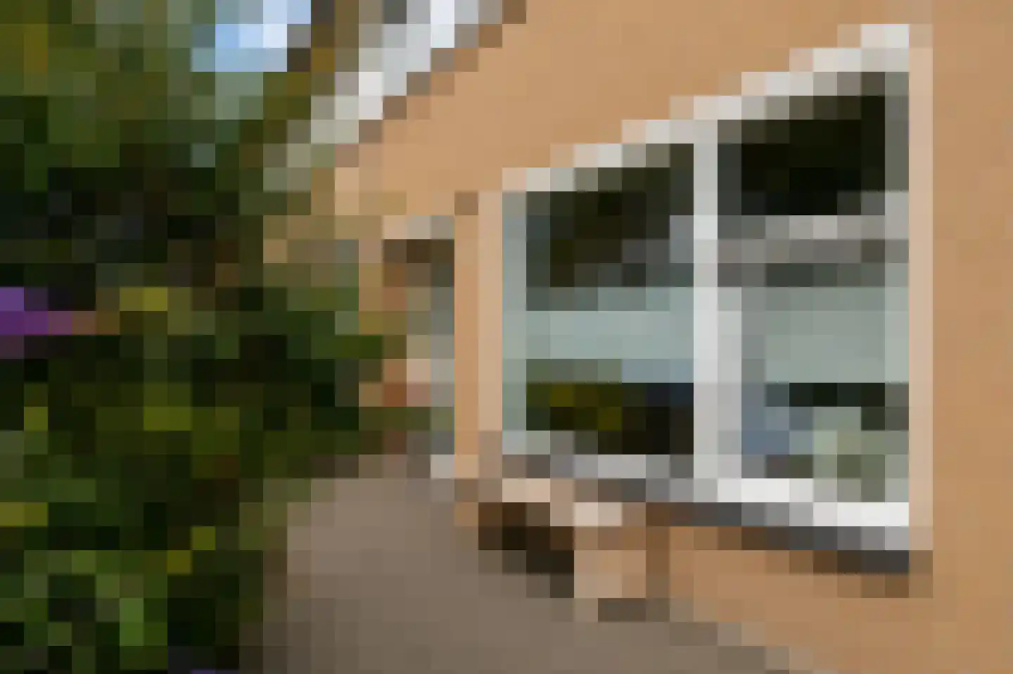 Pater Schuurmanstraat 8 Bolsward thumbnail 49