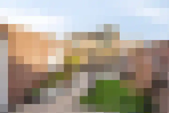 Pater Sebald Lindersstraat 28 Wijchen thumbnail 39