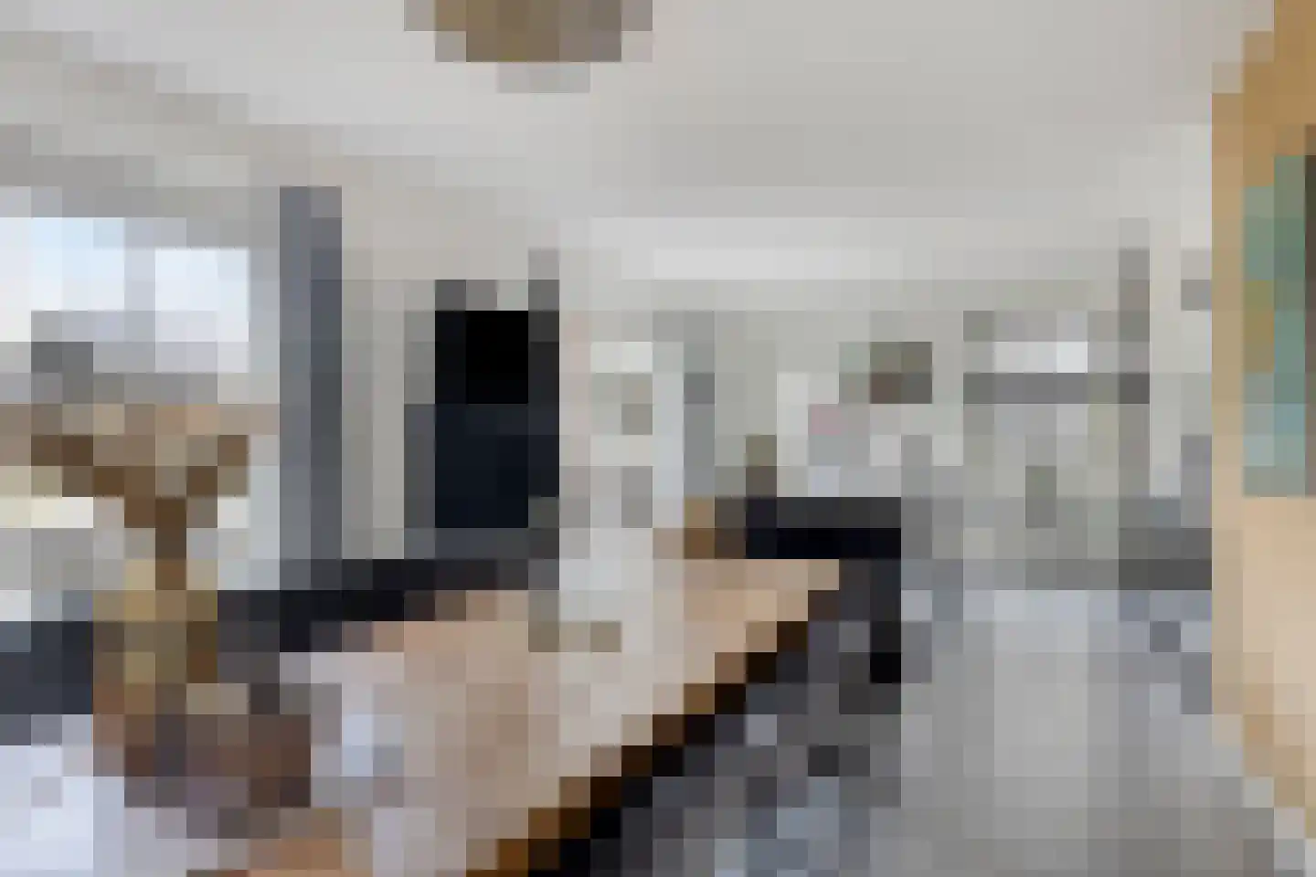 Pater Smitsstraat 1 Didam thumbnail 15