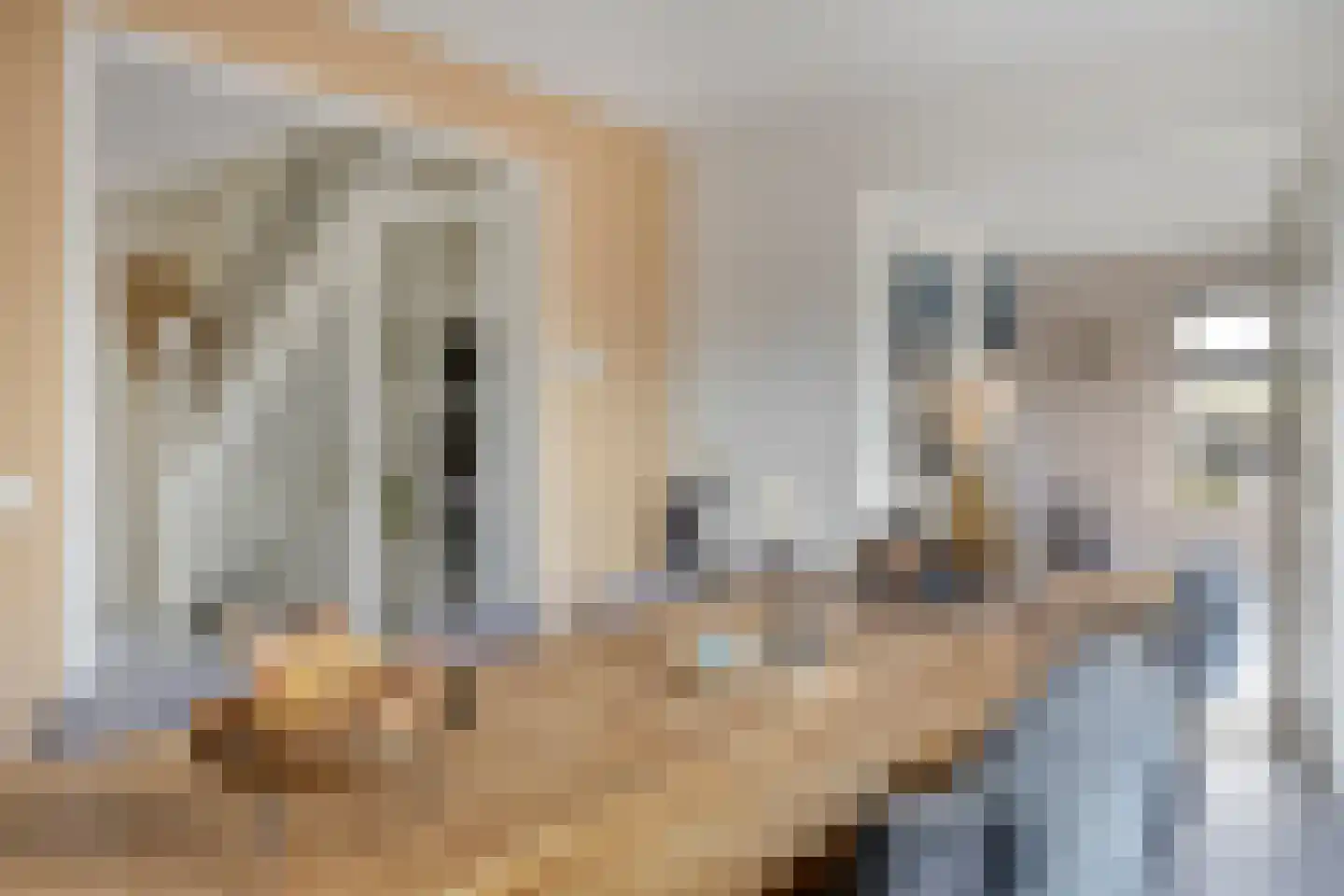Pater Smitsstraat 1 Didam thumbnail 20