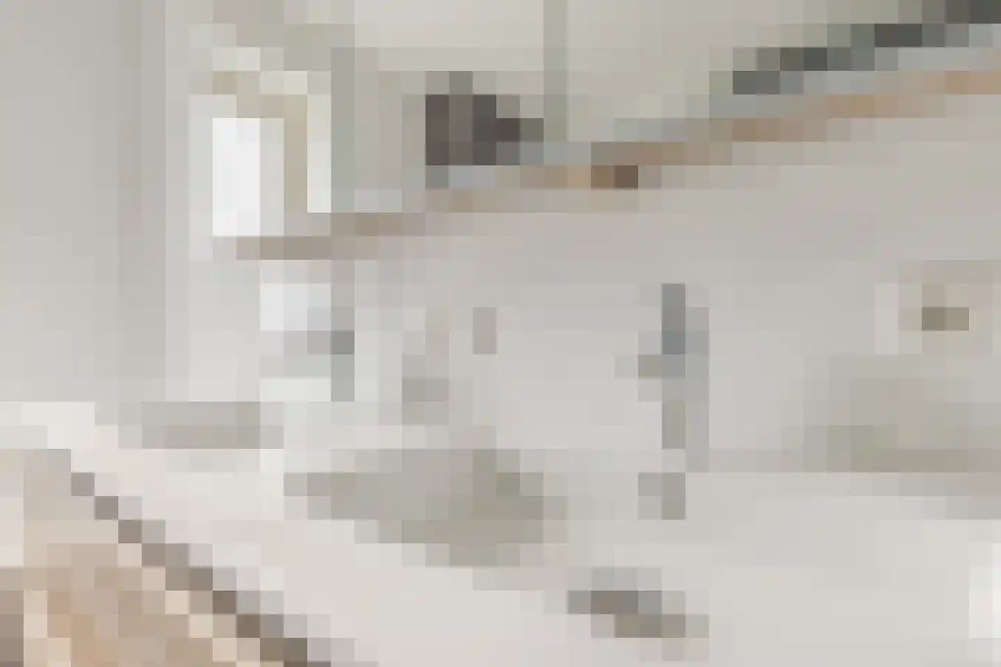 Pater Staessenspad 2 Valkenswaard thumbnail 32