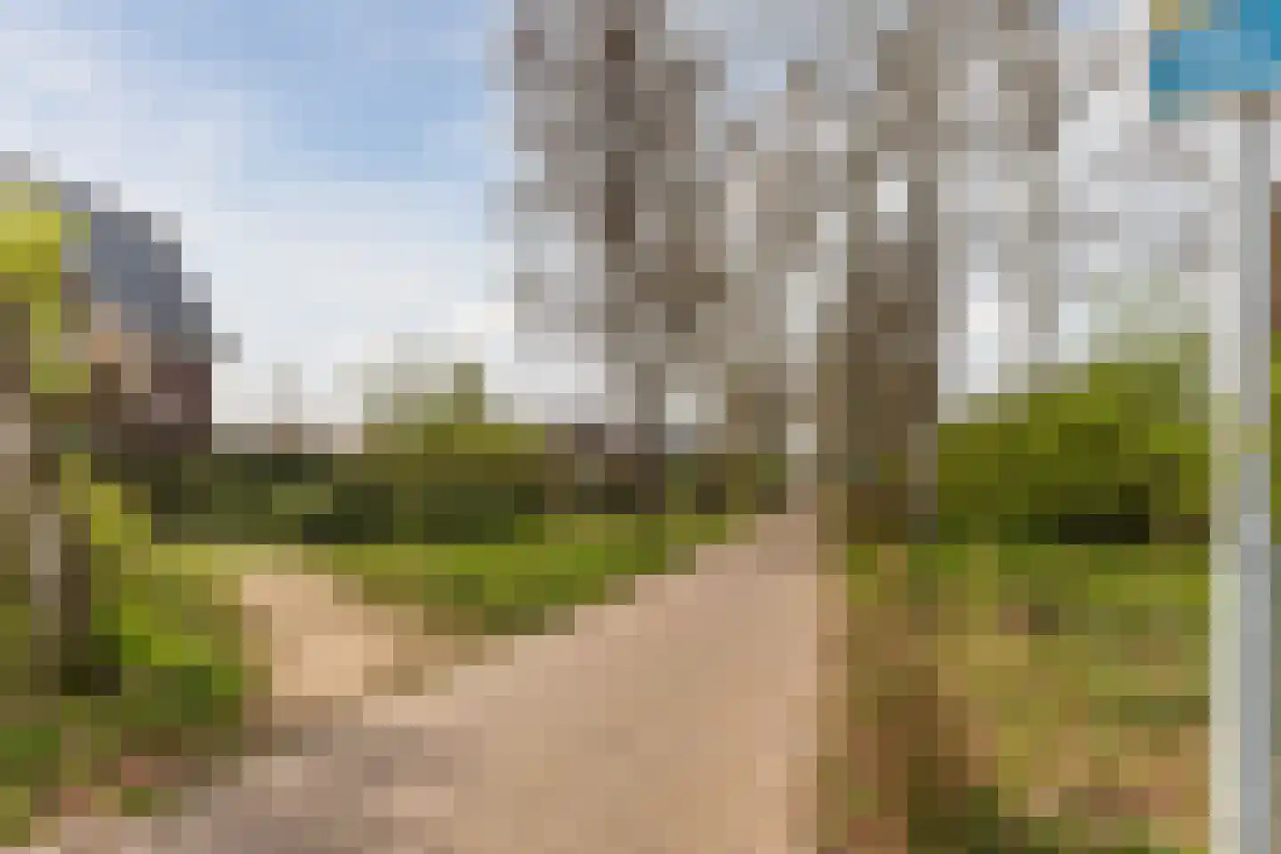 Pater Staessenspad 2 Valkenswaard thumbnail 49