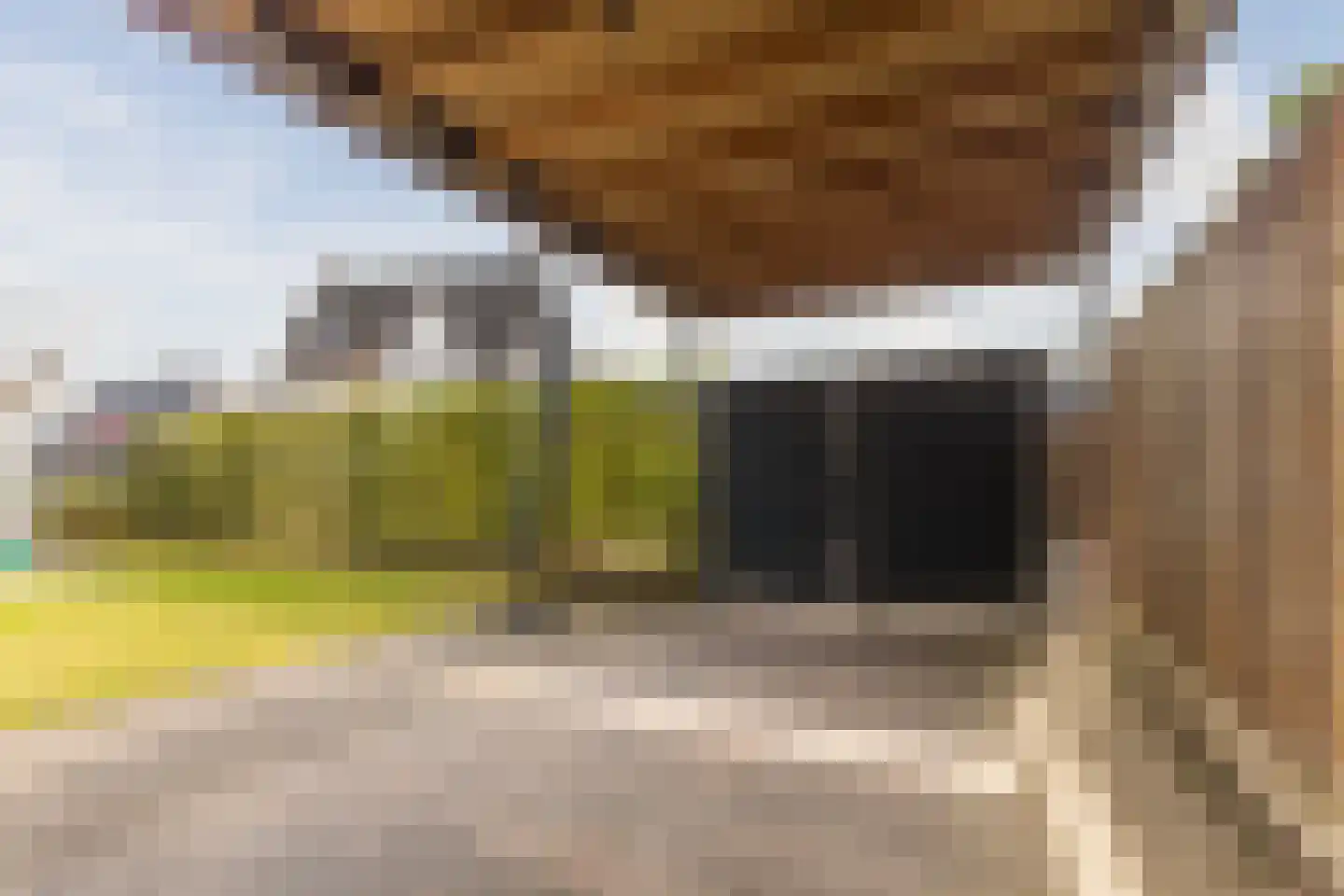 Pater Staessenspad 2 Valkenswaard thumbnail 7