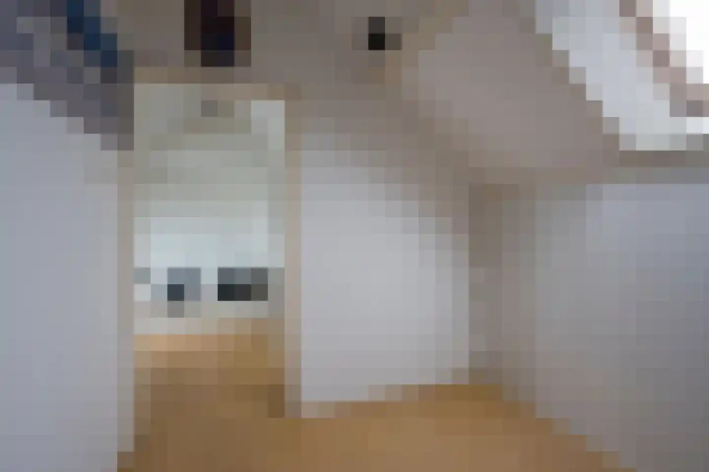 Pater Stormstraat 1 Achterveld thumbnail 26