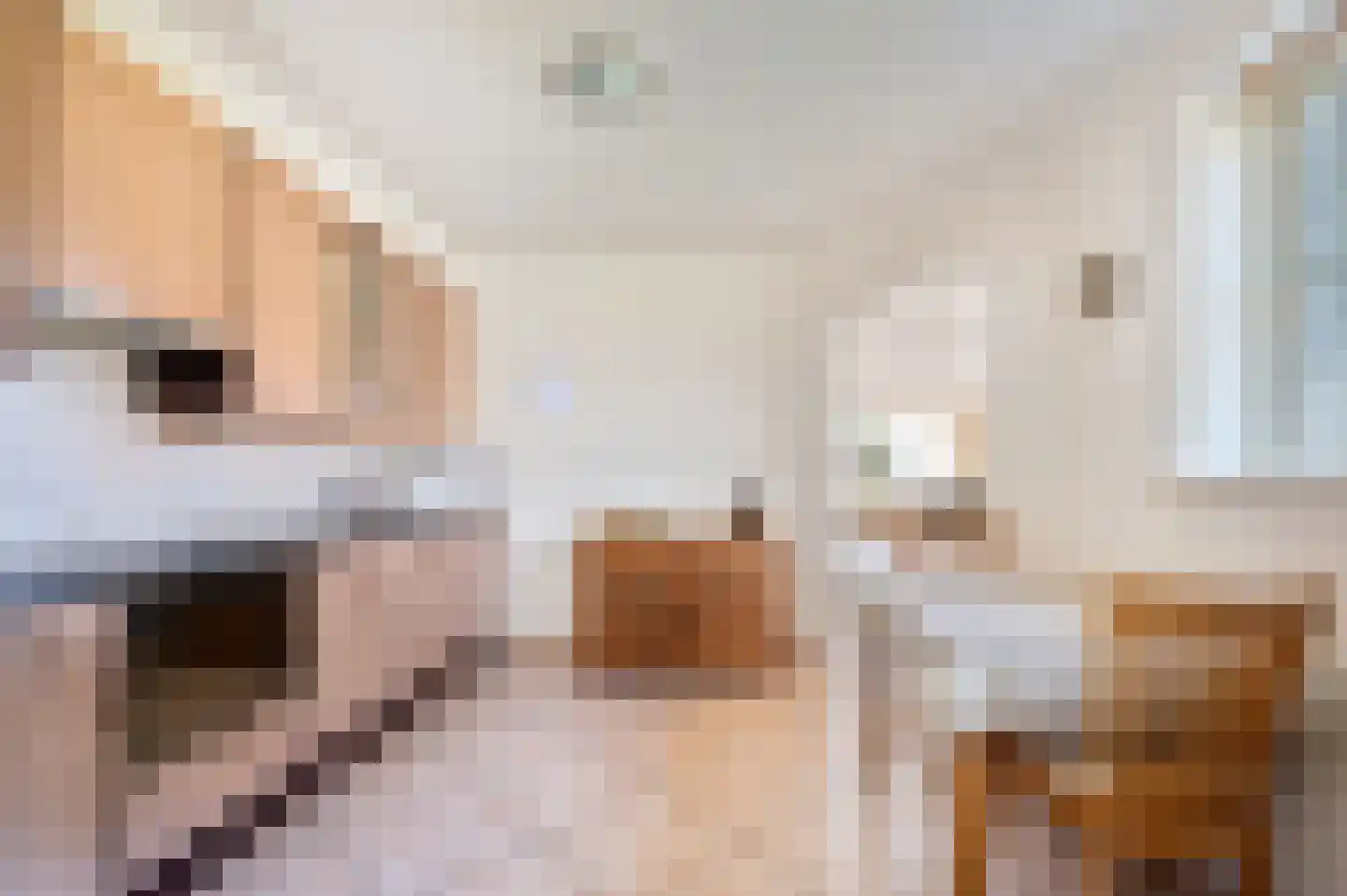 Pater Thijssenstraat 11 Veghel thumbnail 10