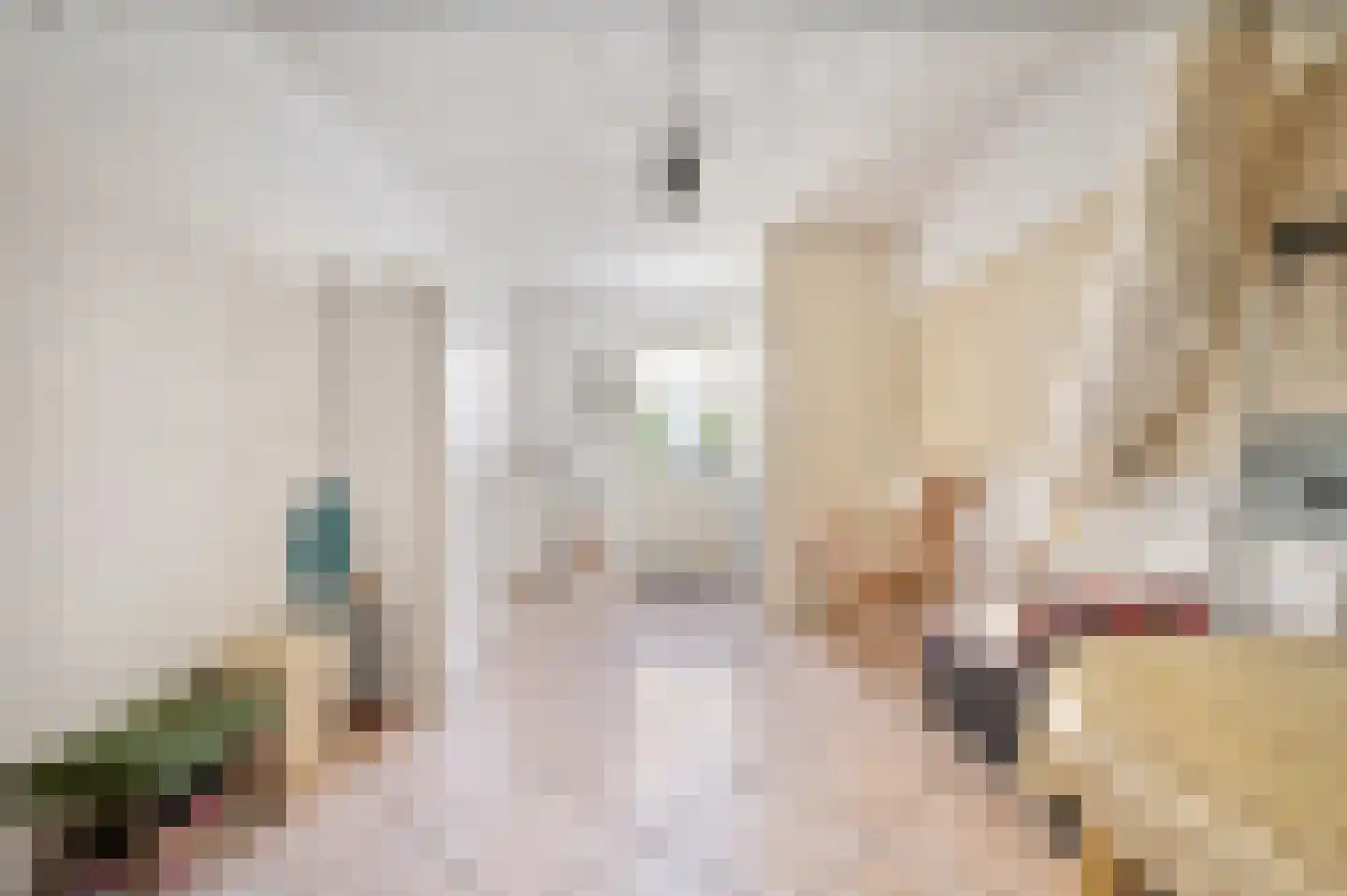 Pater Thijssenstraat 11 Veghel thumbnail 15