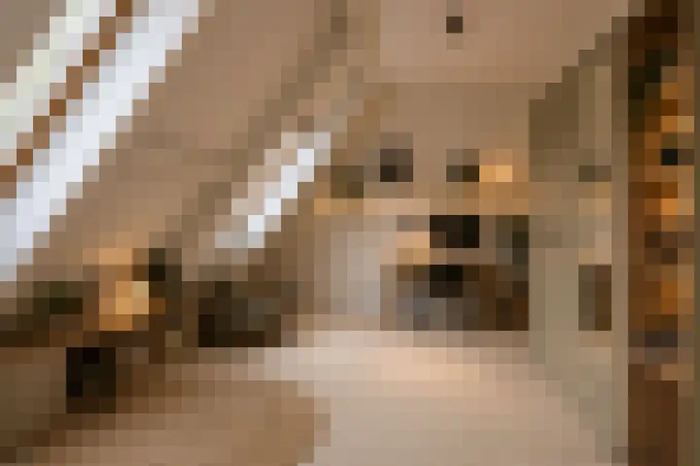 Pater Thijssenstraat 11 Veghel thumbnail 29