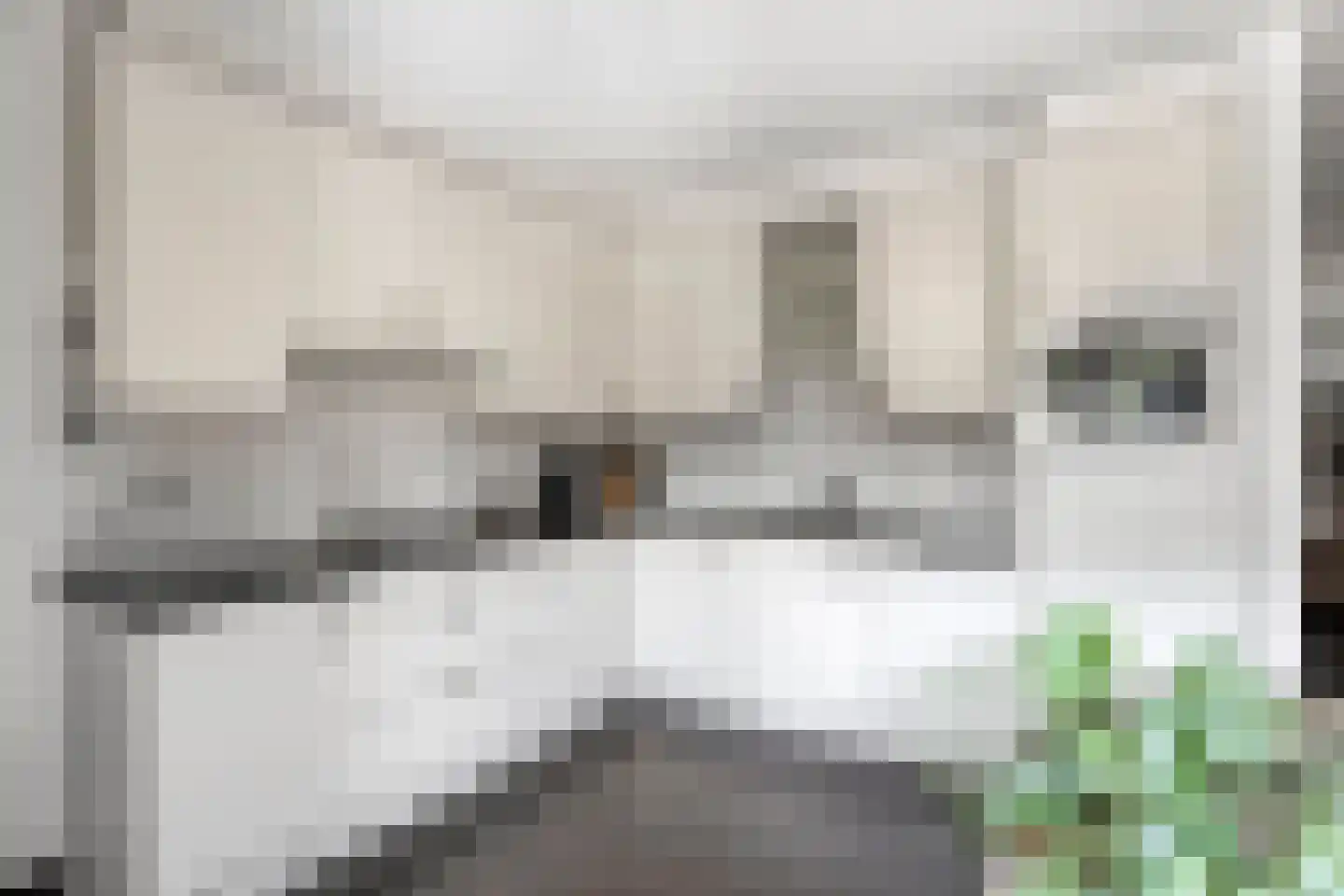 Pater Thijssenstraat 47 Veghel thumbnail 15