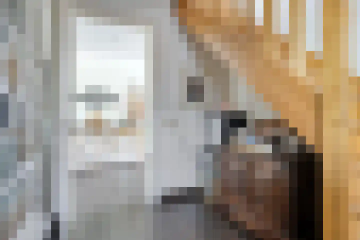 Pater Thijssenstraat 47 Veghel thumbnail 19
