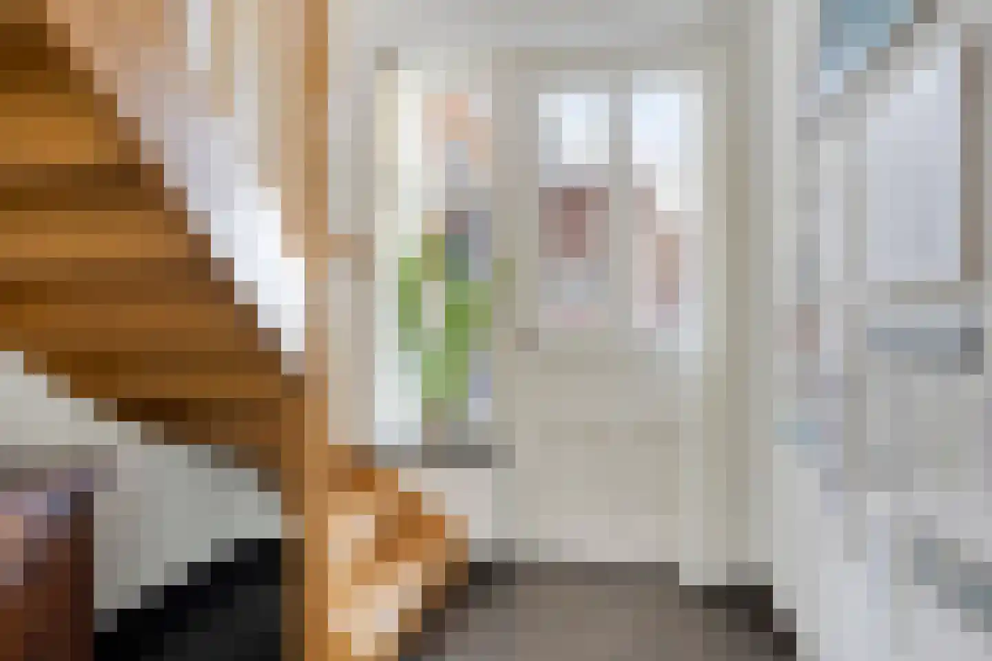 Pater Thijssenstraat 47 Veghel thumbnail 20