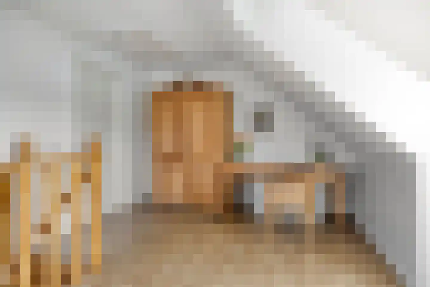 Pater Thijssenstraat 47 Veghel thumbnail 32