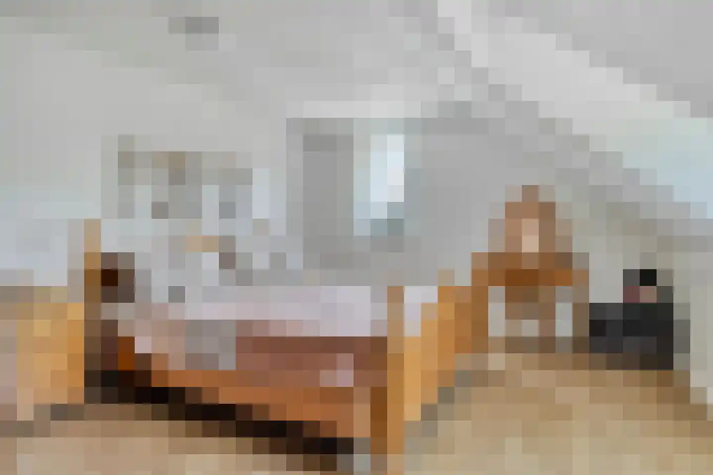 Pater Thijssenstraat 47 Veghel thumbnail 33
