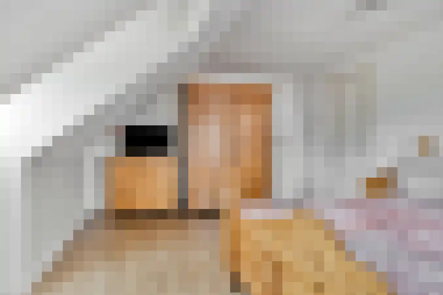 Pater Thijssenstraat 47 Veghel thumbnail 34