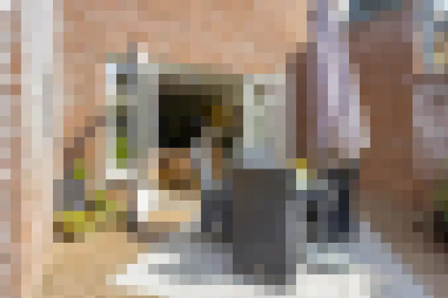 Pater Thijssenstraat 47 Veghel thumbnail 38