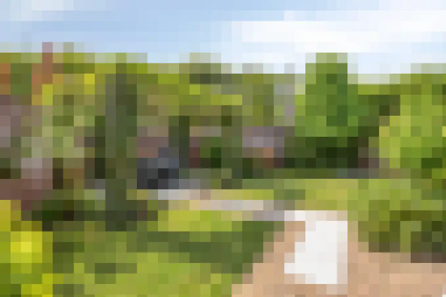 Pater Thijssenstraat 47 Veghel thumbnail 39