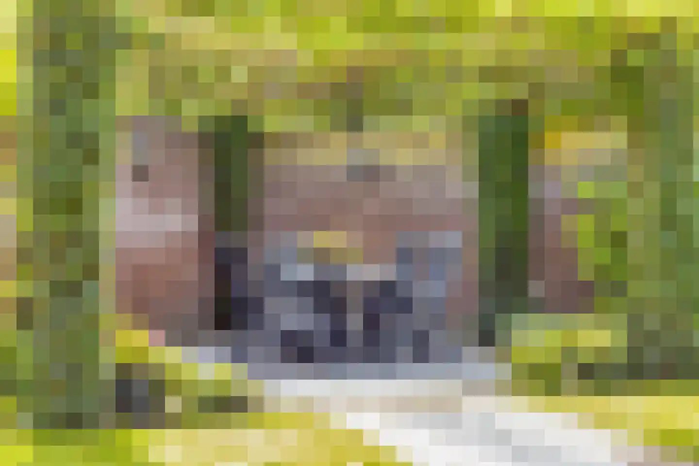 Pater Thijssenstraat 47 Veghel thumbnail 41