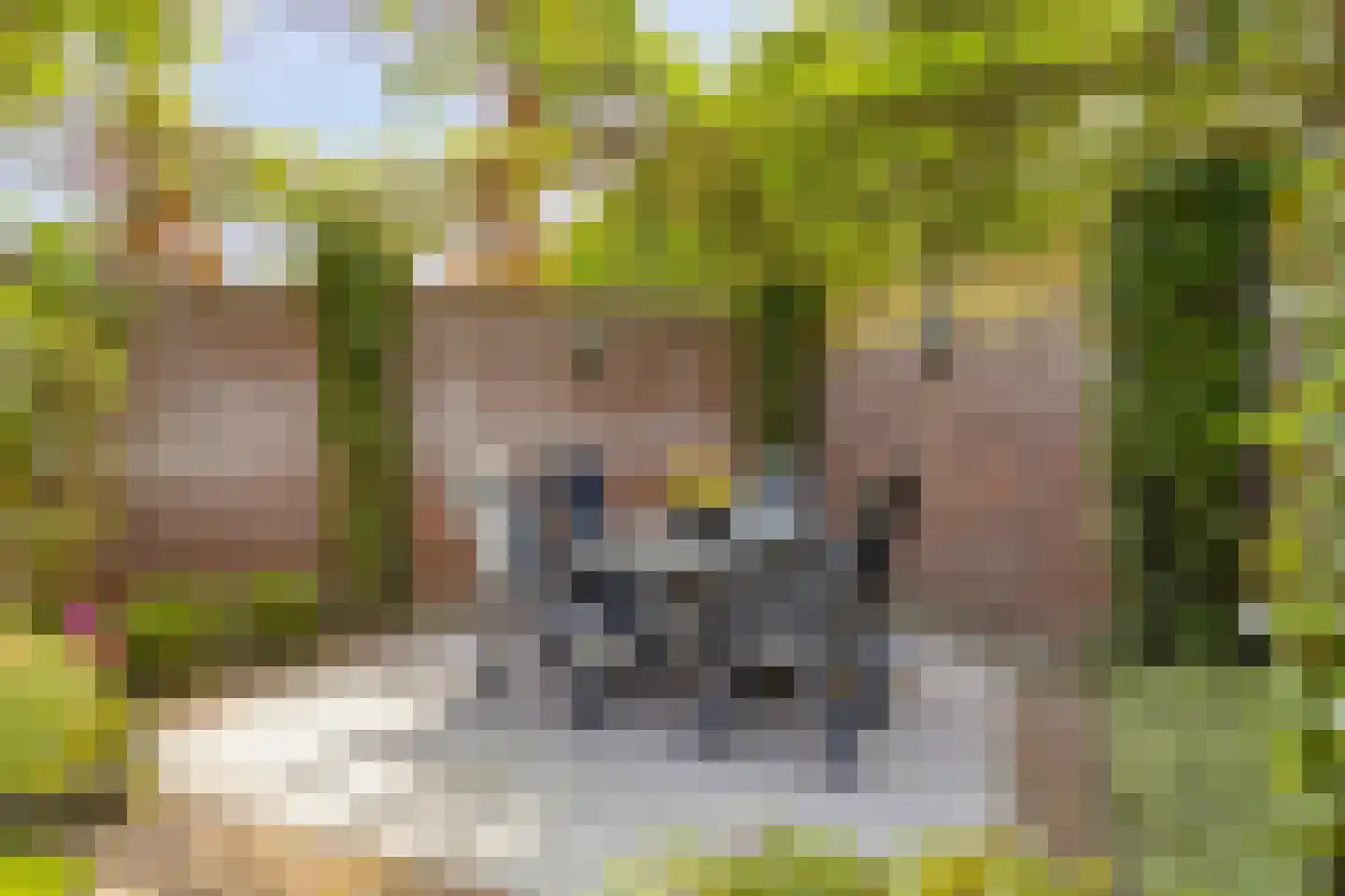 Pater Thijssenstraat 47 Veghel thumbnail 42