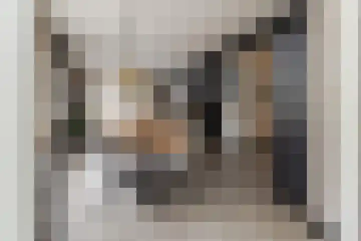Pater Tilliestraat 21 Berg en Terblijt thumbnail 11
