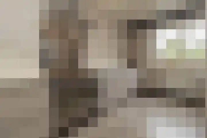 Pater Tilliestraat 21 Berg en Terblijt thumbnail 15