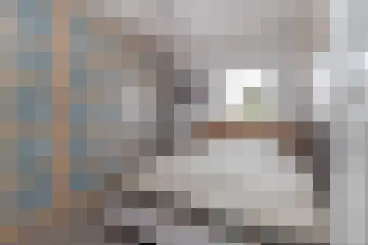 Pater Tilliestraat 21 Berg en Terblijt thumbnail 19