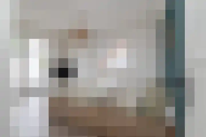 Pater Tilliestraat 21 Berg en Terblijt thumbnail 20