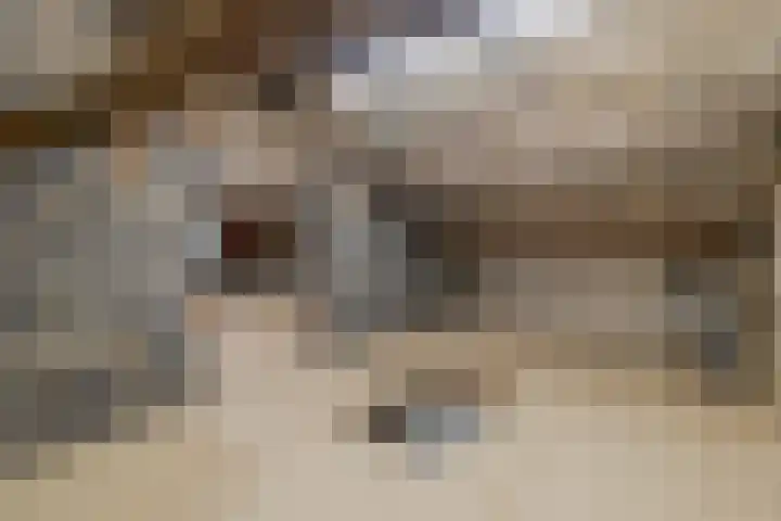 Pater Tilliestraat 21 Berg en Terblijt thumbnail 28
