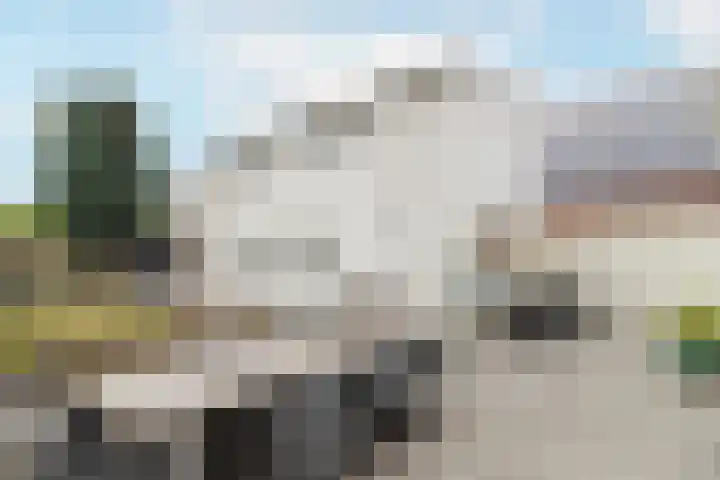 Pater Tilliestraat 21 Berg en Terblijt thumbnail 30