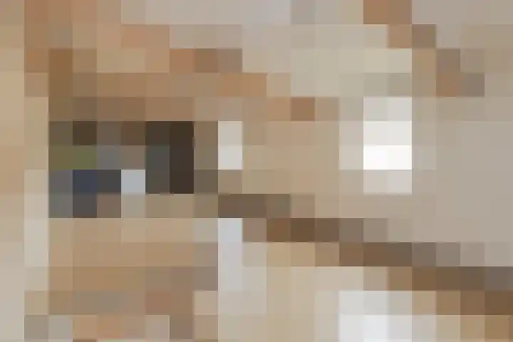 Pater Tilliestraat 21 Berg en Terblijt thumbnail 33