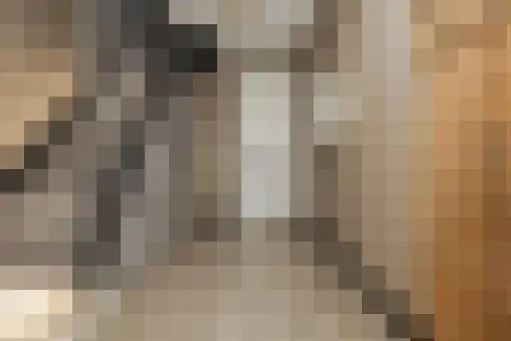 Pater Tilliestraat 21 Berg en Terblijt thumbnail 4