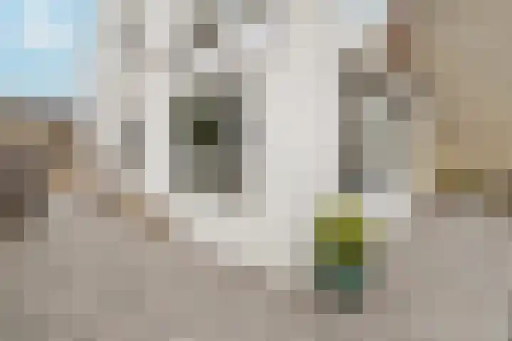 Pater Tilliestraat 21 Berg en Terblijt thumbnail 40