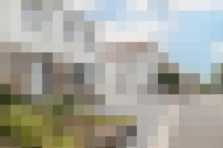 Pater Tilliestraat 21 Berg en Terblijt thumbnail 42