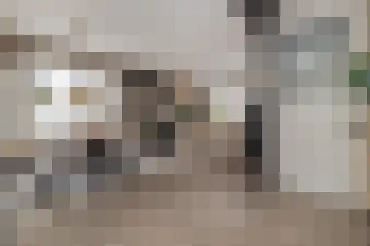 Pater Tilliestraat 21 Berg en Terblijt thumbnail 6