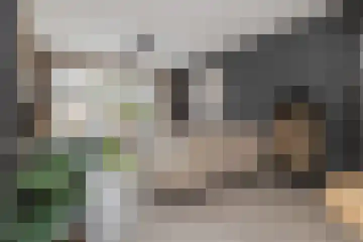 Pater Tilliestraat 21 Berg en Terblijt thumbnail 7