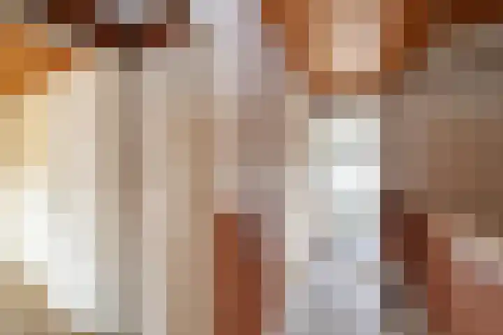 Pater van Boxtelweg 3 Ewijk thumbnail 14