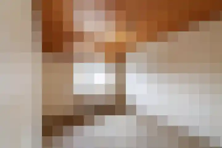 Pater van Boxtelweg 3 Ewijk thumbnail 16